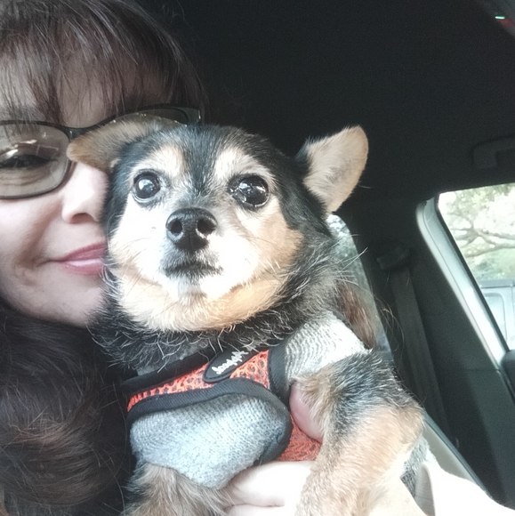 Meet your Posher, Ewa - Picture 13 of 16